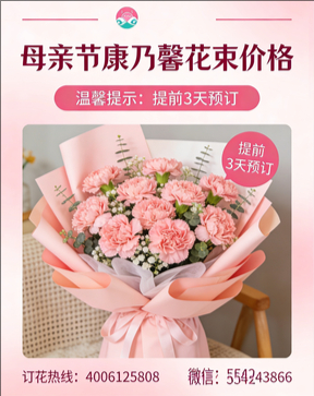 安庆花店母亲节康乃馨花束