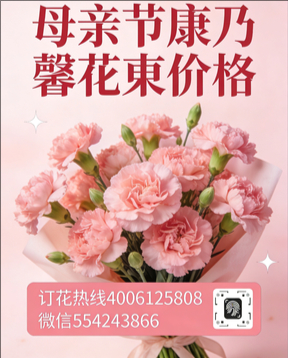 安庆花店母亲节康乃馨花束